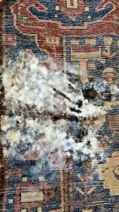 Teppichreinigung und Mottenprävention in der modernen Teppichwerkstatt von Teppich Parsi